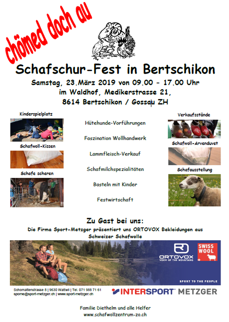 Schafschur-Fest in Bertschikon